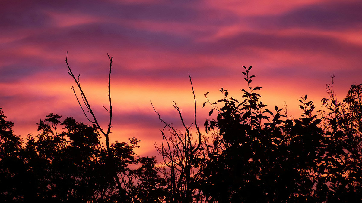 Prairie sunset in Airdrie, Alberta, Canada